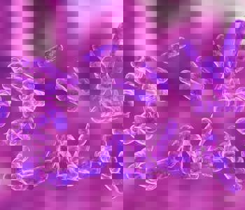 Water sample testing