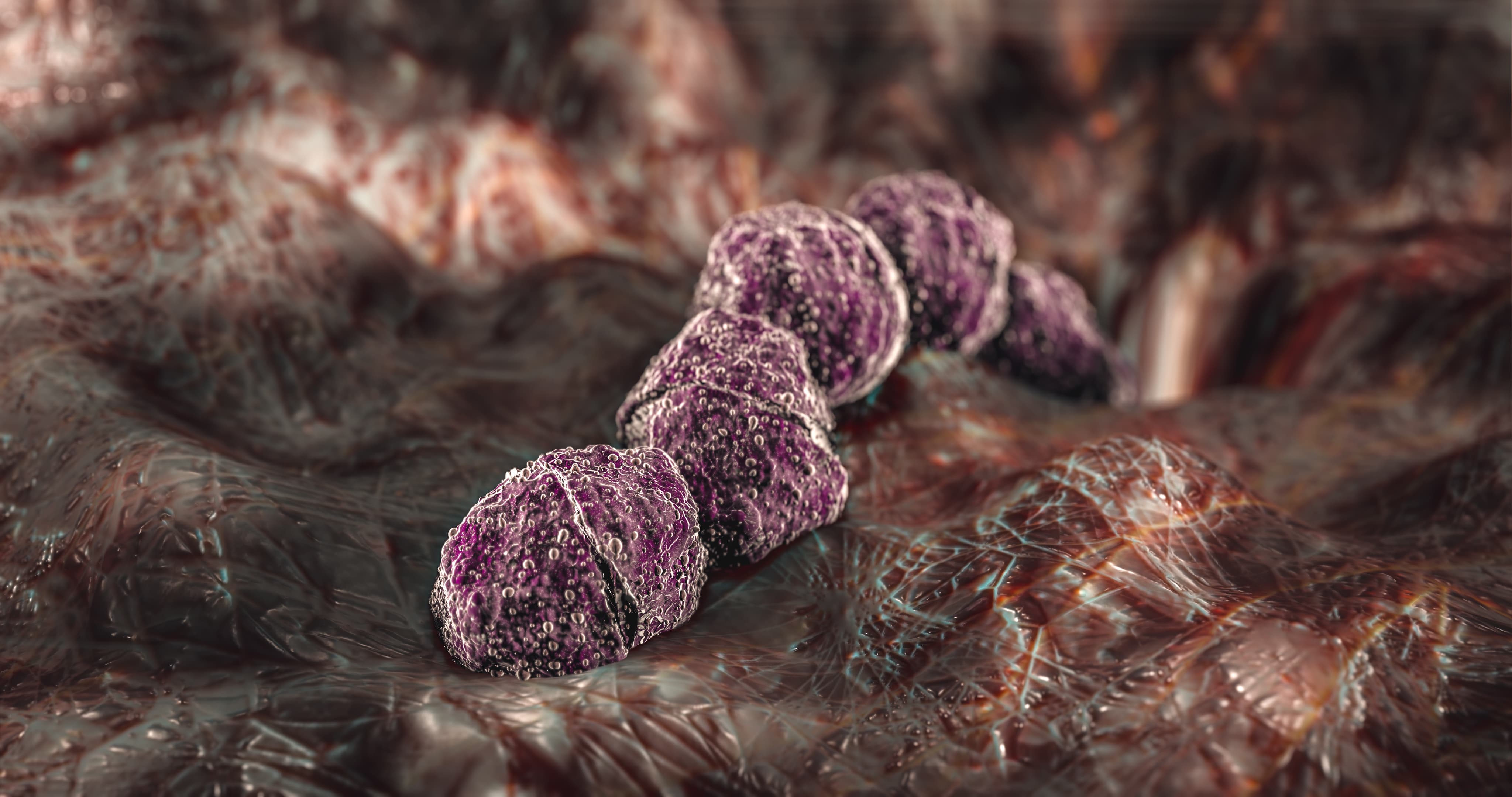 Faecal streptococci testing