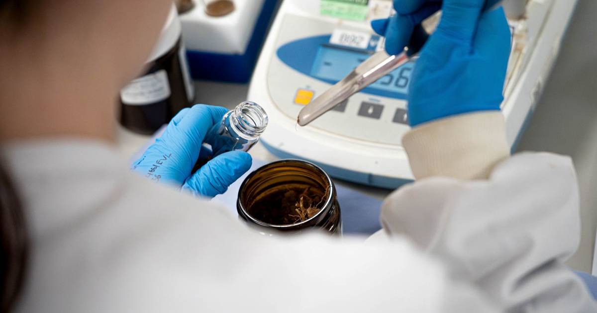 Street Works Waste Classification Protocol | Lab Testing | Sampling