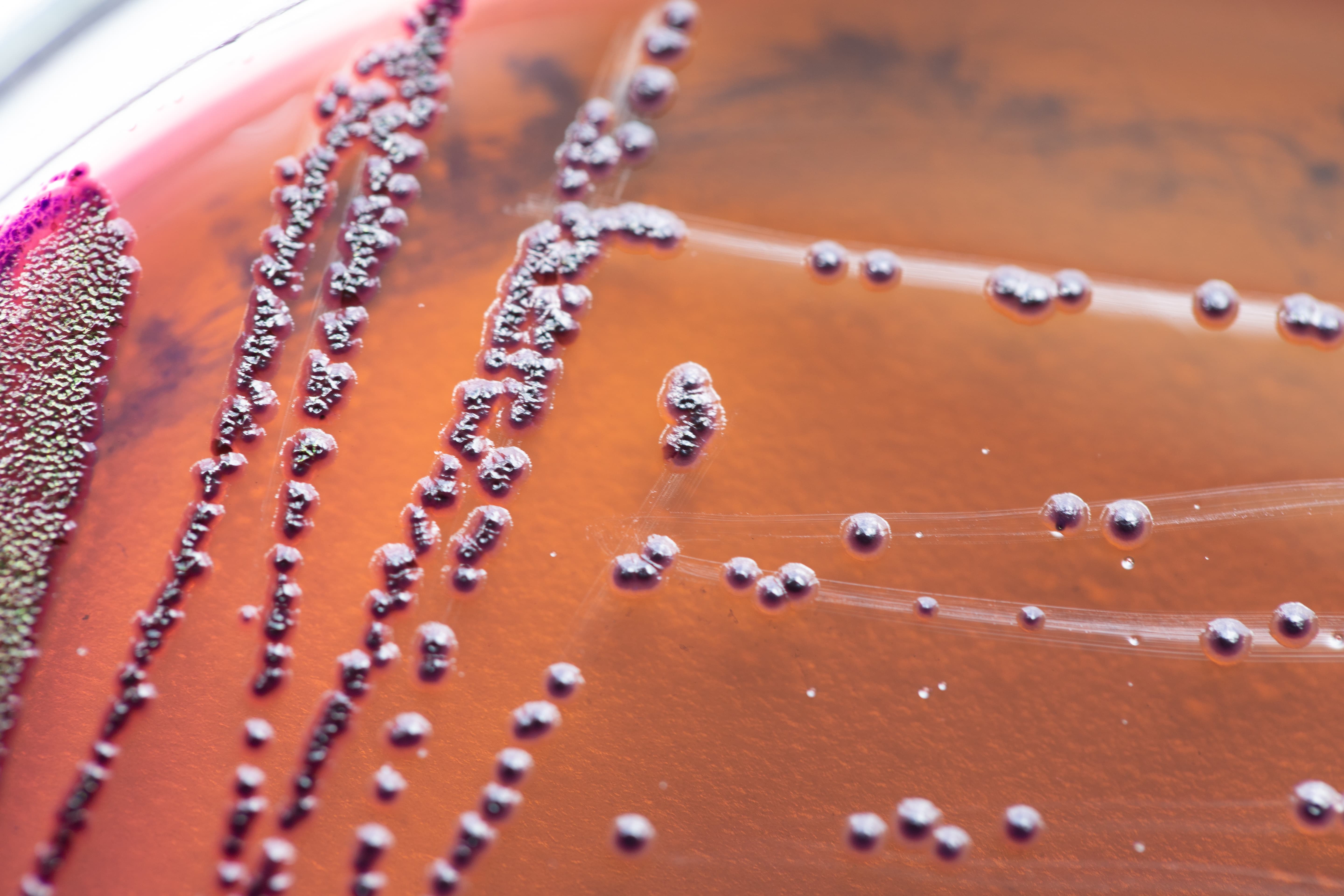 Water testing from CTS