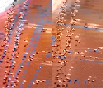 Water testing from CTS