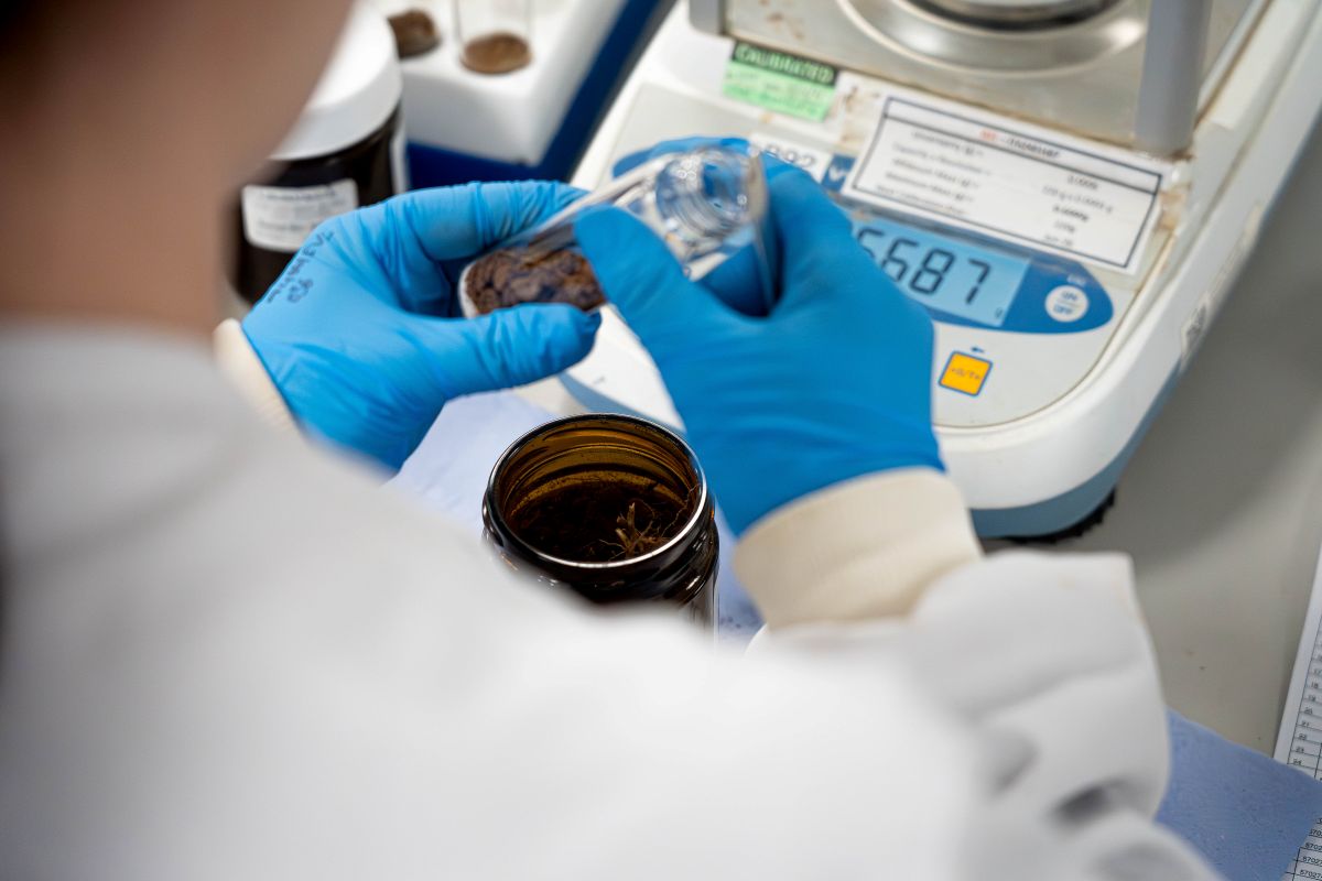 Laboratory Testing
